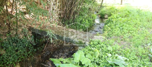 6 chambres Terrain à Viseu, Portugal No. 117743 23