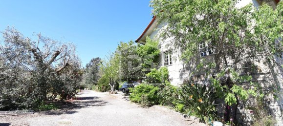 6 chambres Terrain à Viseu, Portugal No. 117743 21