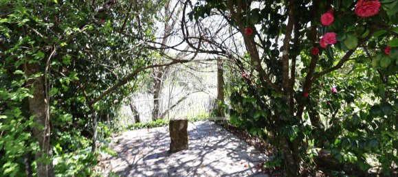 6 chambres Terrain à Viseu, Portugal No. 117743 22