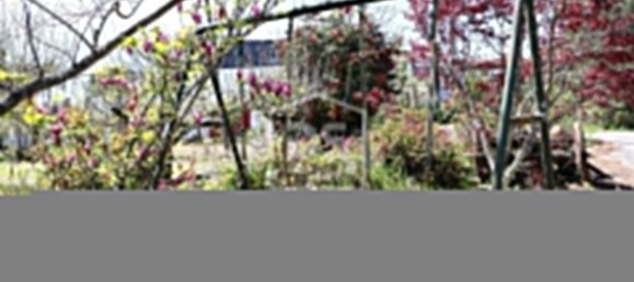 6 chambres Terrain à Viseu, Portugal No. 117743 20