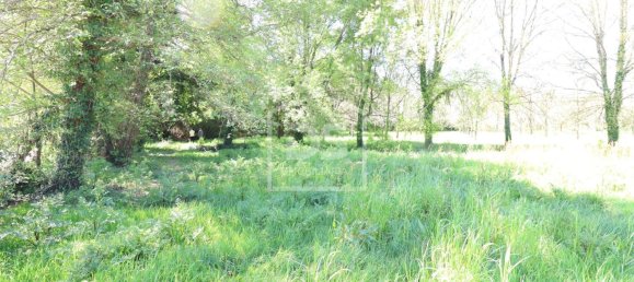 6 chambres Terrain à Viseu, Portugal No. 117743 24