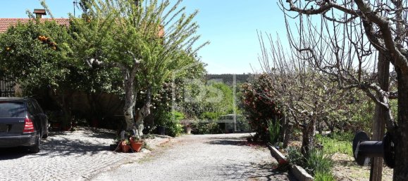 6 chambres Terrain à Viseu, Portugal No. 117743 8