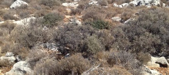 Hôtel à Vamos, Greece 10884m² No. 2973 6