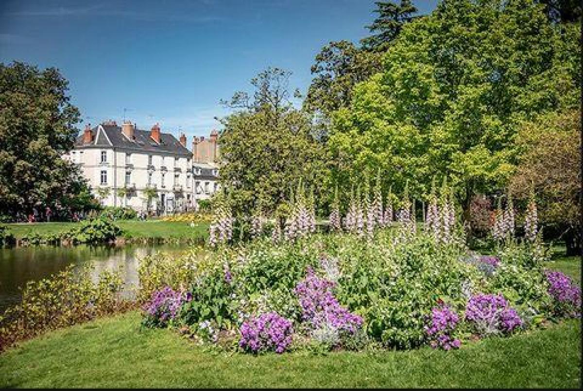 4 bedrooms Shop in Tours, France No. 18815