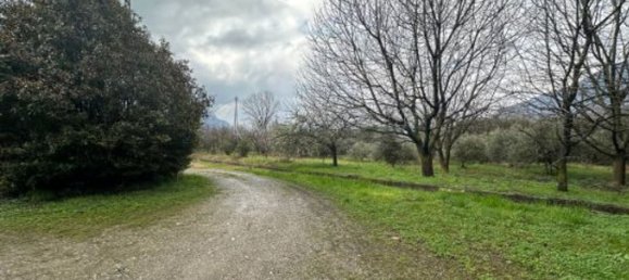 7771m² Building in Costa Volpino, Italy No. 172364 17