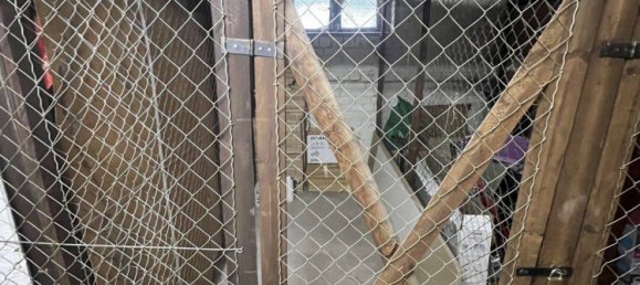 1 Schlafzimmer Wohnung in Zehlendorf, Germany, Nr. 260824 21