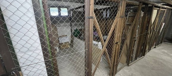 1 Schlafzimmer Wohnung in Zehlendorf, Germany, Nr. 260824 20