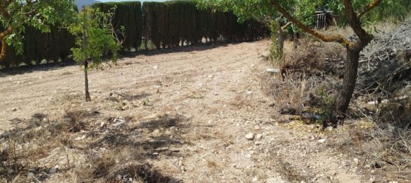 2 غرف نوم منزل في La Romana, Spain رقم 160370 62