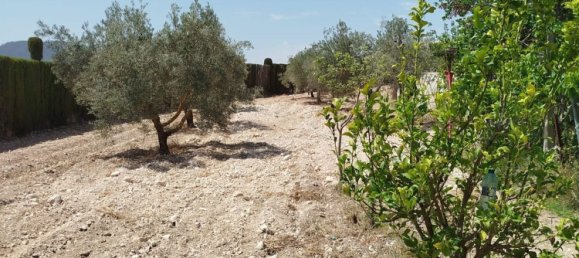 2 غرف نوم منزل في La Romana, Spain رقم 160370 65