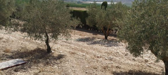 2 غرف نوم منزل في La Romana, Spain رقم 160370 63