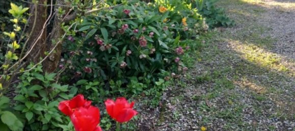 6 rooms Villa in Alessandria, Italy No. 50878 31