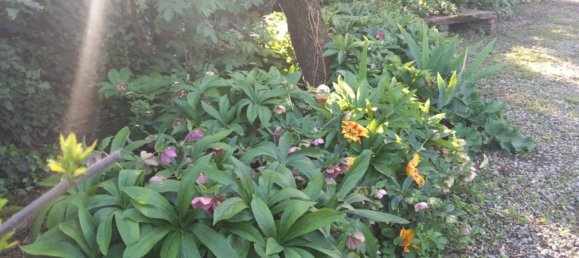 6 rooms Villa in Alessandria, Italy No. 50878 29