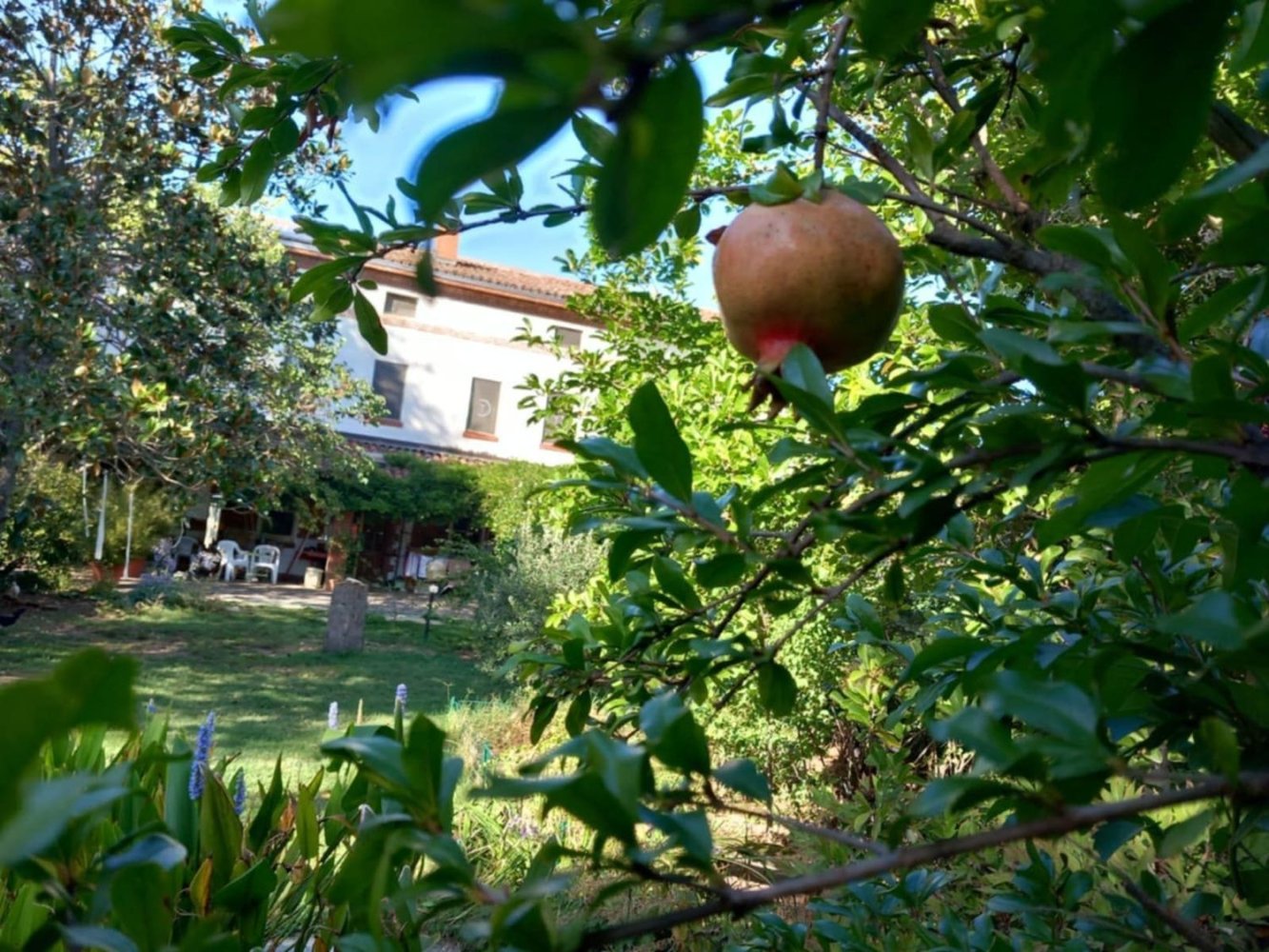 6 rooms Villa in Alessandria, Italy No. 50878