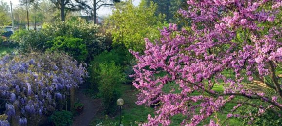 6 rooms Villa in Alessandria, Italy No. 50878 27