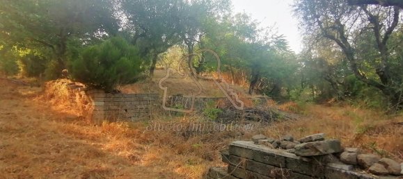 2000m² Land in Sacrofano, Italy No. 228230 5