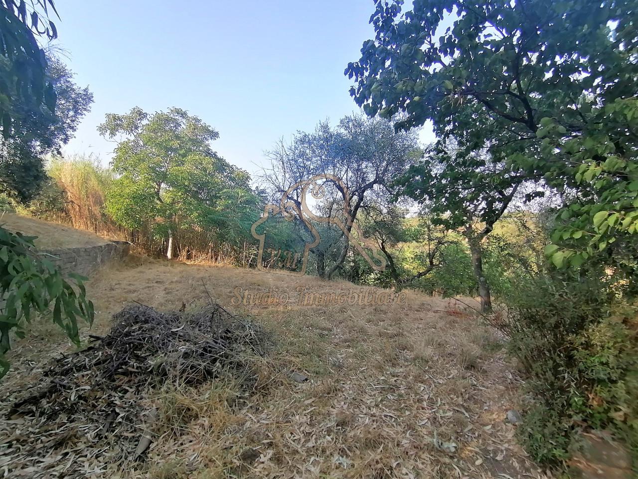 2000m² Land in Sacrofano, Italy No. 228230