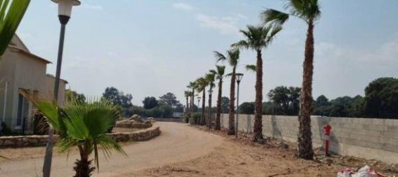 2 bedrooms Villa in Porto-Vecchio, France No. 79028 4