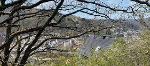  Land in Euskirchen, Germany No. 240327 3