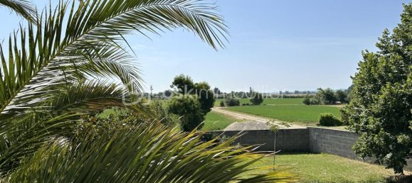 4 غرف نوم منزل في Auterive, France رقم 336342 8