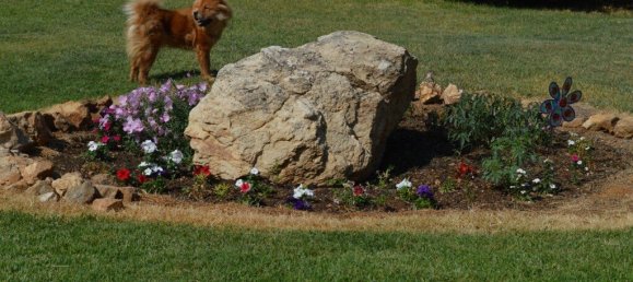 4 bedrooms Commercial property in Mygdonia, Greece No. 3620 11