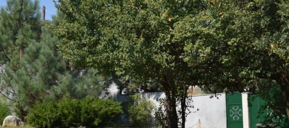 Коммерческая недвижимость с 4 спальнями в Mygdonia, Ореокастрон, Салоники, Центральная Македония, Македония и Фракия, Греция № 3620 12