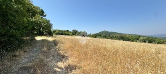 Studio in Valfabbrica, Italy, Nr. 278430 6