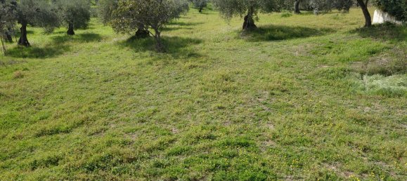 Casa de 8 habitaciónes en Pescara, Italy No. 12580 2