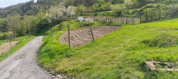 4 bedrooms House in Isola del Cantone, Italy No. 279808 37