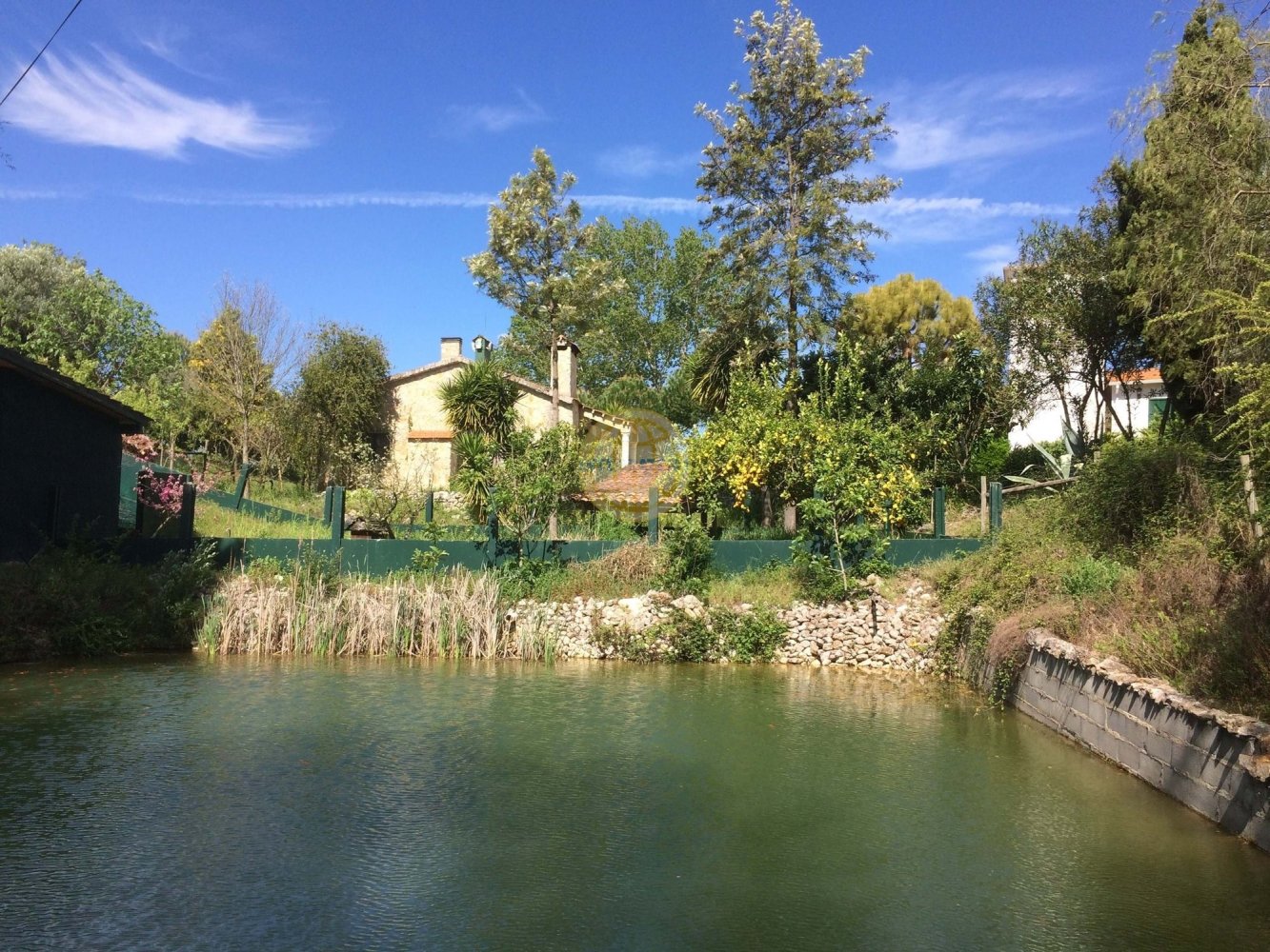 Terreno de 4 dormitorios en Santarem, Portugal No. 146376