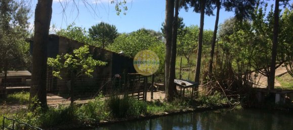 Terreno de 4 dormitorios en Santarem, Portugal No. 146376 5