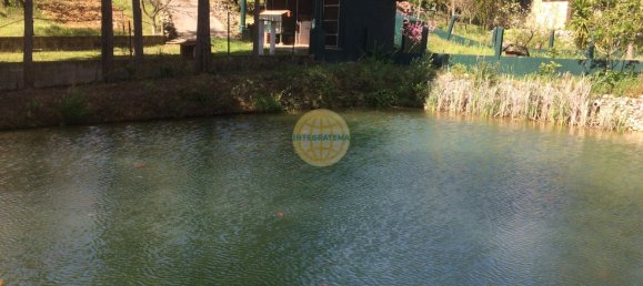 Terreno de 4 dormitorios en Santarem, Portugal No. 146376 4