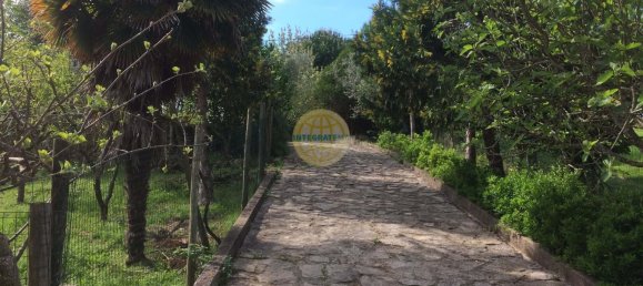 Terreno de 4 dormitorios en Santarem, Portugal No. 146376 3