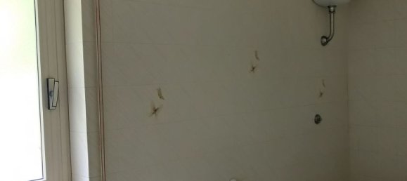 4 rooms Apartment in Civitella Roveto, Italy No. 85969 32