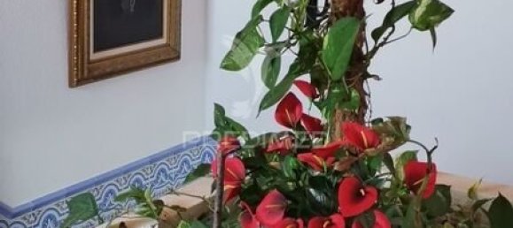 1550m² Hotel in Alter do Chao, Portugal No. 251395 24