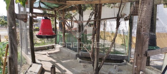 1550m² Hotel in Alter do Chao, Portugal No. 251395 26