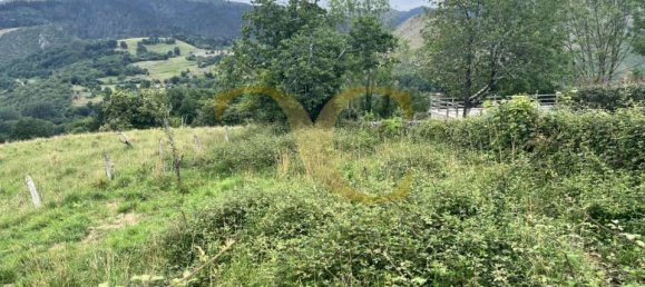 Grundstück in Cangas de Onis, Spain 3027m², Nr. 159985 9