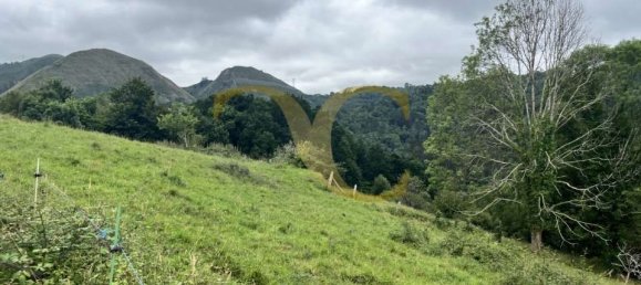 Grundstück in Cangas de Onis, Spain 3027m², Nr. 159985 7