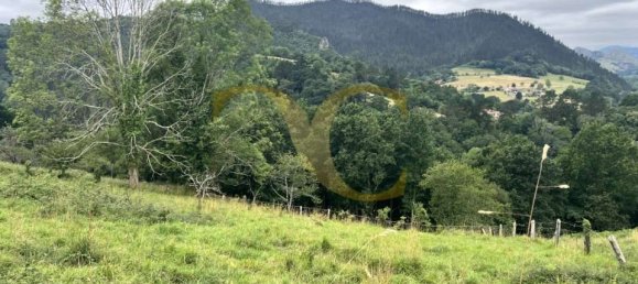 Grundstück in Cangas de Onis, Spain 3027m², Nr. 159985 8