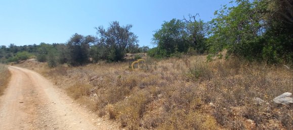 3920m² Land in Sao Bartolomeu de Messines, Portugal No. 213218 18