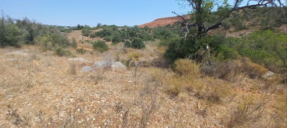 3920m² Land in Sao Bartolomeu de Messines, Portugal No. 213218 9