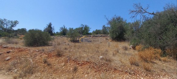 3920m² Land in Sao Bartolomeu de Messines, Portugal No. 213218 13