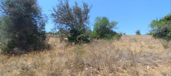 3920m² Land in Sao Bartolomeu de Messines, Portugal No. 213218 14