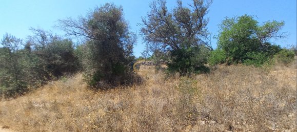 3920m² Land in Sao Bartolomeu de Messines, Portugal No. 213218 16