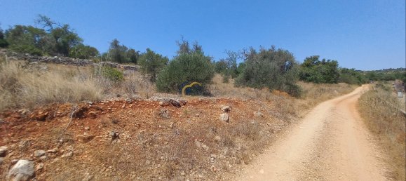 3920m² Land in Sao Bartolomeu de Messines, Portugal No. 213218 17