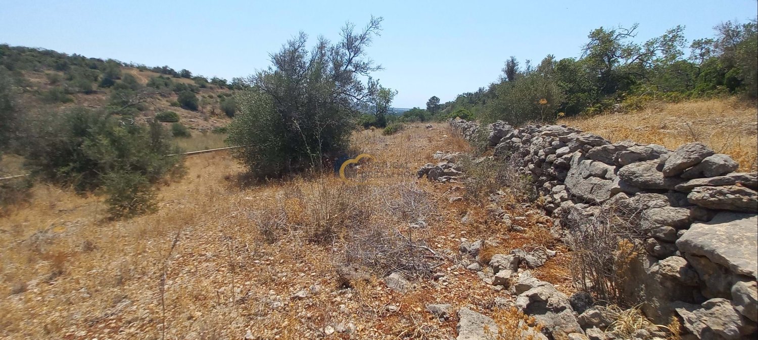 3920m² Land in Sao Bartolomeu de Messines, Portugal No. 213218