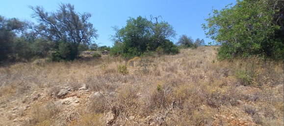 3920m² Land in Sao Bartolomeu de Messines, Portugal No. 213218 15