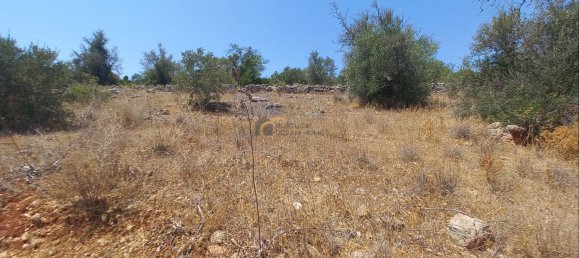 3920m² Land in Sao Bartolomeu de Messines, Portugal No. 213218 11