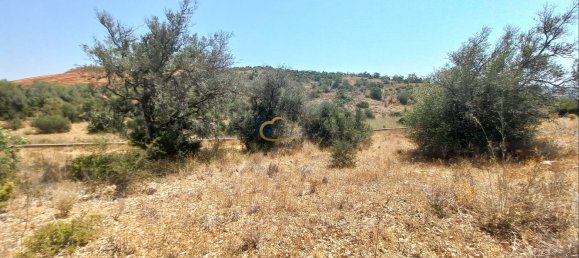 3920m² Land in Sao Bartolomeu de Messines, Portugal No. 213218 4