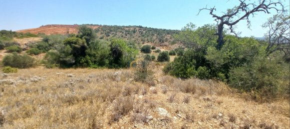 3920m² Land in Sao Bartolomeu de Messines, Portugal No. 213218 2