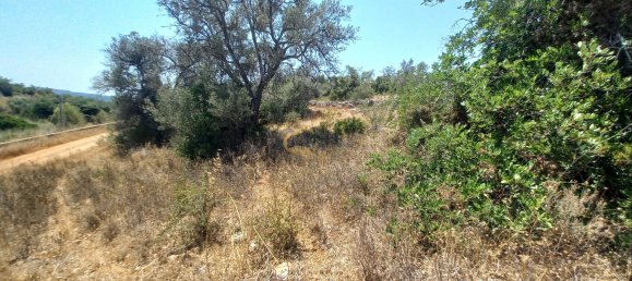 3920m² Land in Sao Bartolomeu de Messines, Portugal No. 213218 5